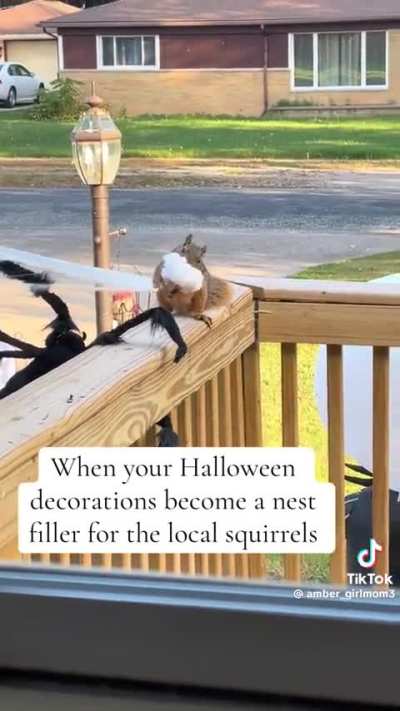 Squirrel steals from single mother in poverty who decorated to give her kids a memorable Halloween