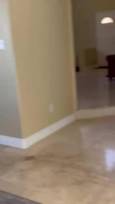 Bon Appetit! Ashley Lane by RealJamVR