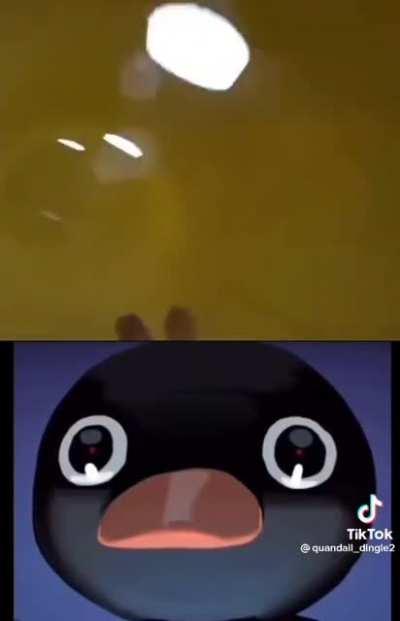 this seems too familiar