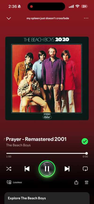 spotify hidden track