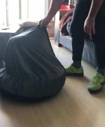 If a dog could smile