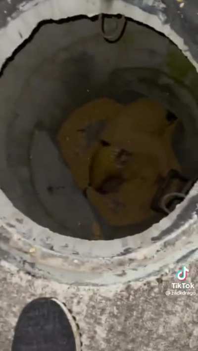 “Dreams have meaning” My dreams: