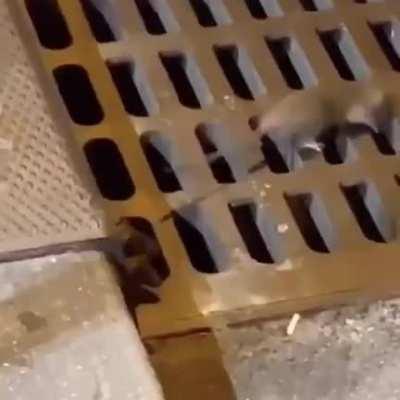 Interchange tech stores 2 minutes into the raid