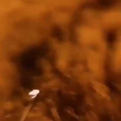 Governo: estamos tomando medidas para previnir os incêndios e o desmatamento. Ministro do meio ambiente precisando de mais pasto pro gado :