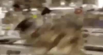 Draw music got me like