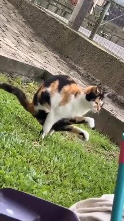 Don't know which subreddit would appreciate this