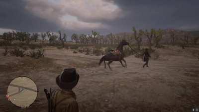 When your horse doesn’t want to go for a walk