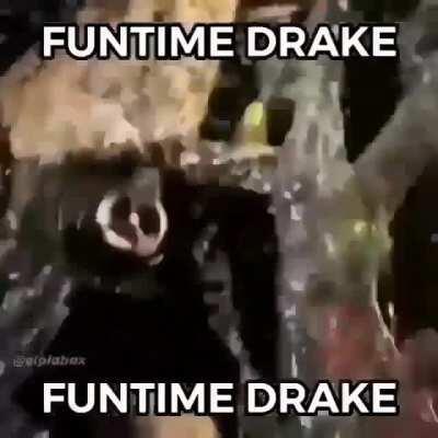 Fuck it , funtime drake
