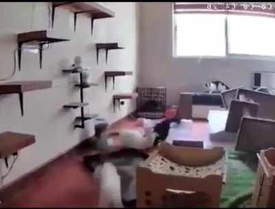 New simulation of particle behavior moments after the Big Bang