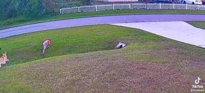 He plays, he protects but most importantly he loves.