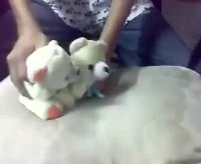 Me haz vomitado en la punta del chipote