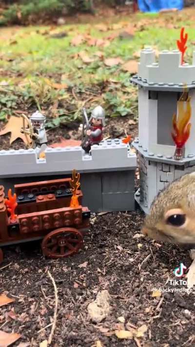 Does anyone know what mod this is?