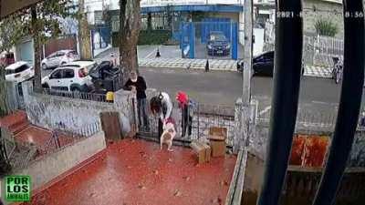 La saga del Sweater del Lomito Parte II