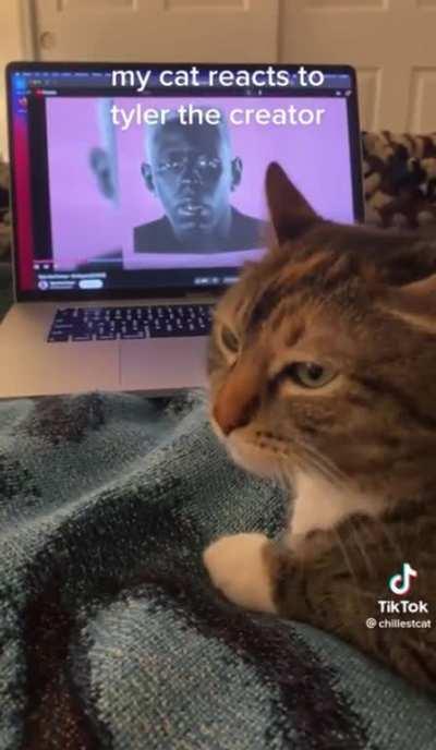 Me when Kendrick’s music plays