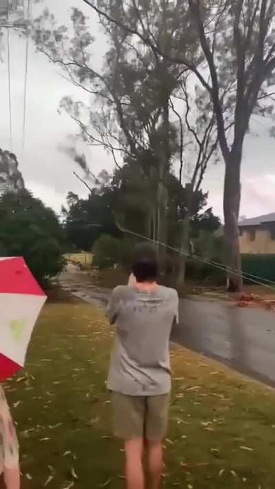 Using your truck to pull down a fallen tree branch