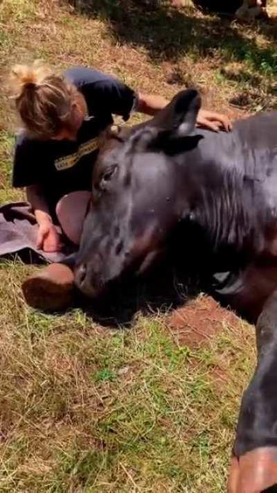 You Can Lay On My Lap