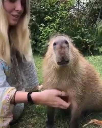 Happy Thursday! Sound on :)