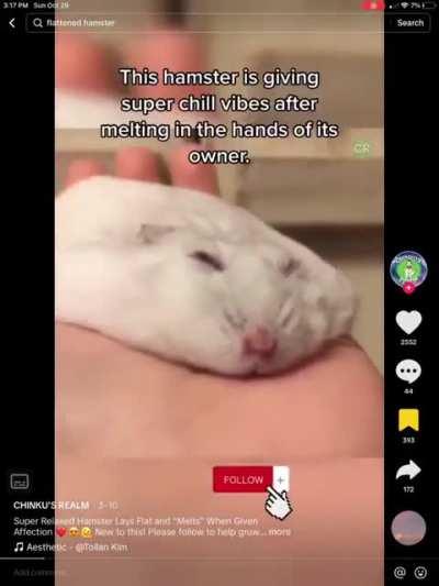 DoglaREDDIT - Video #7072