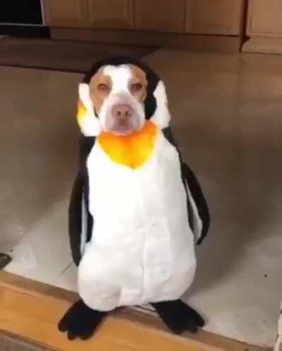 I don't even have words to describe this video.