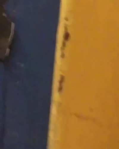 My ass would of been running