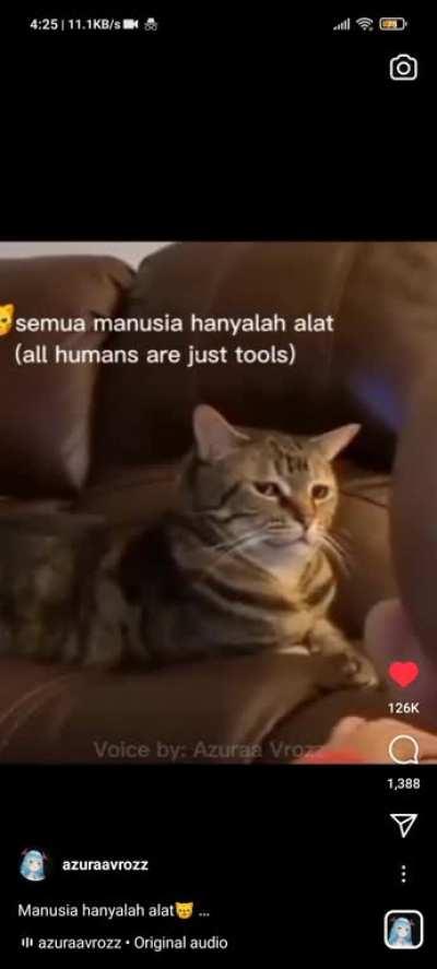 found this randomly at 3am and almost died laughing