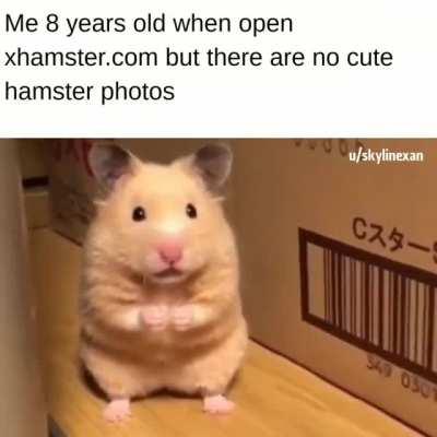 Oh no, seems like a wrong website!