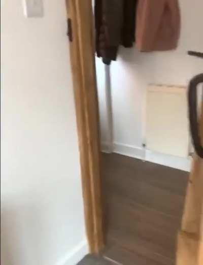 Cought this guy trying to steal something