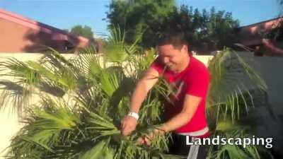 Genuinely upset not many people know about this gem of a video.