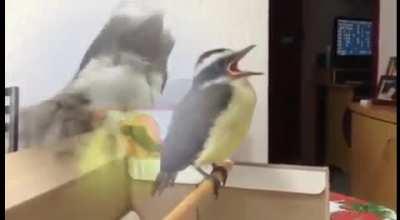 Uma obra de arte 🥲