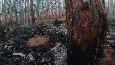 Successful assault on four Russian positions by the Azov Brigade under the command of Denys 