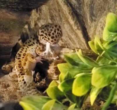 It feels so good to get those socks off