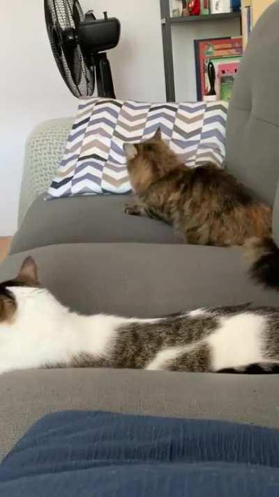 The fiercest huntress there ever was...