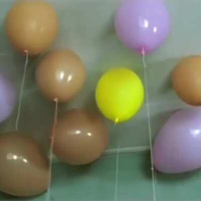 DylanteroYT - Video #6028