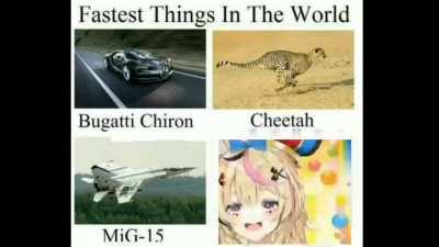 Fastest Things In The World