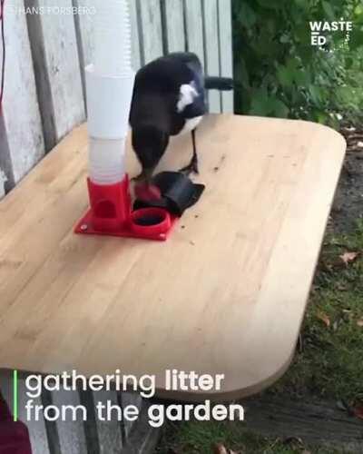 I dunno if I am more in love with the crows or the guy, but this made me happy.