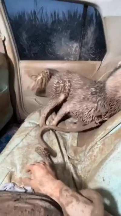 This is why I don't want to let him play alone outside