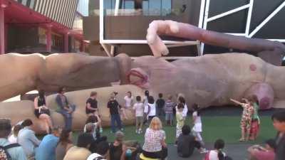 Noah drown me specifically