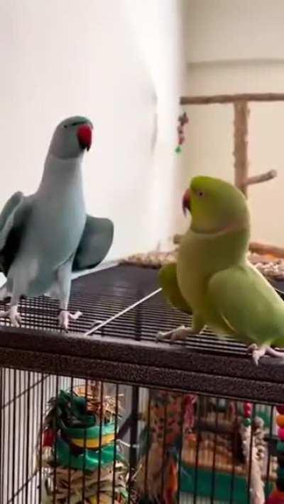 🎶 Kiss me, beneath the milky twilight. Lead me out on the moonlit floor 🎶