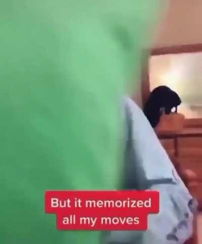 I hate it when that happens