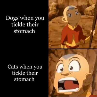 First time making a gif meme