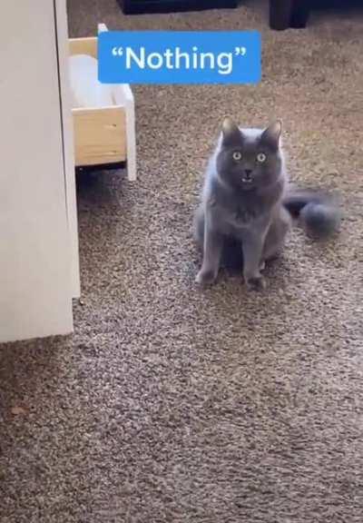 He knows he is guilty.