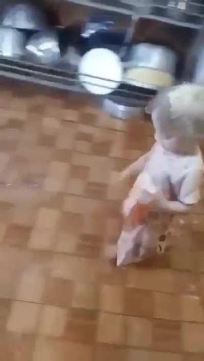 MUCA DEPOIS DE IR NO BANHEIRO 👃________ LIVE 24HS