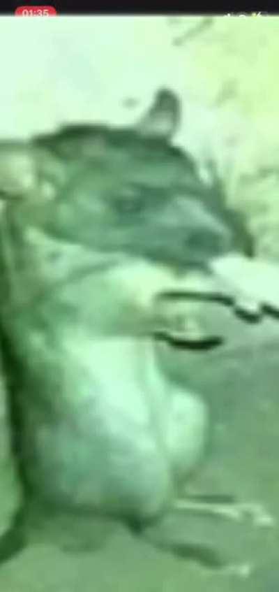 Luangameplay666 - Video #7393