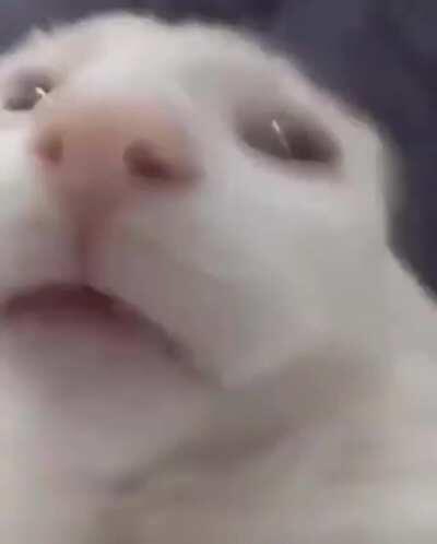 Could someone void this?