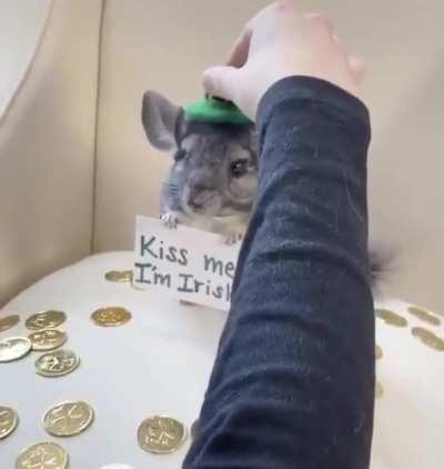 Kiss me, I’m Irish.