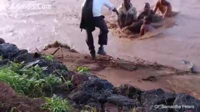 Evil family put baby elephant in flood hoping to stop it