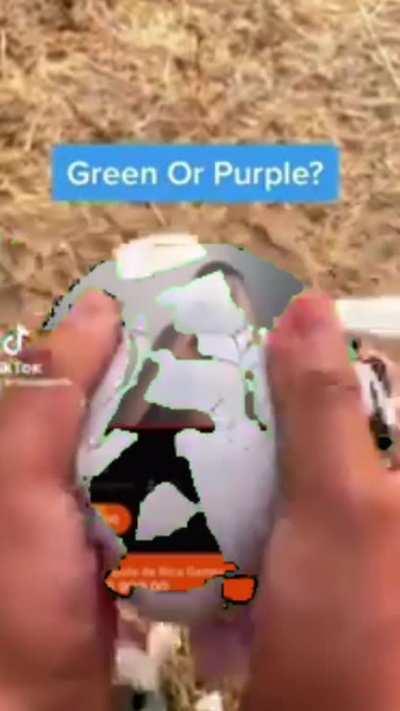 bola verde ou bola roxa?