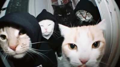 Me and my homies reuniting in samshan ghat after getting cooked in neet (we are about to gang up and haunt whoever tf suggesting 