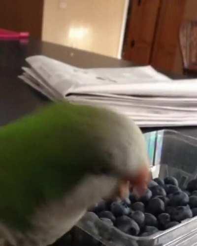 This idiot fighting a fruit packaging