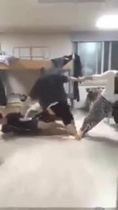 Eltit gnitseretni na